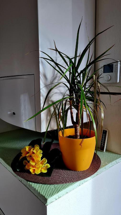 נורדהאוזן Apartement *Harzblick* מראה חיצוני תמונה